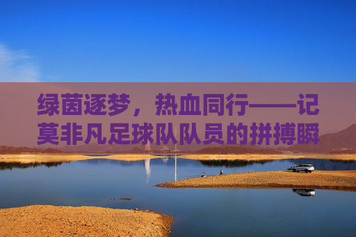 绿茵逐梦,热血同行——记莫非凡足球队队员的拼搏瞬间