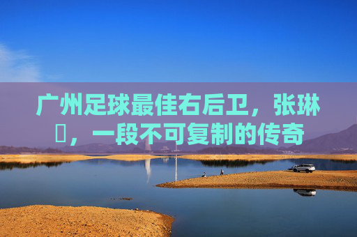 广州足球最佳右后卫,张琳芃,一段不可复制的传奇