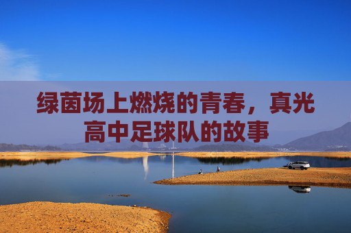 绿茵场上燃烧的青春，真光高中足球队的故事
