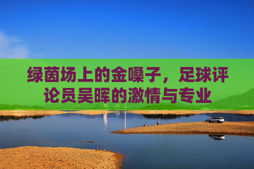 绿茵场上的金嗓子,足球评论员吴晖的激情与专业
