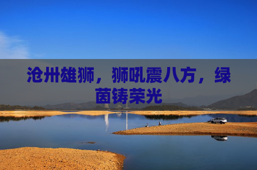 沧卅雄狮,狮吼震八方,绿茵铸荣光