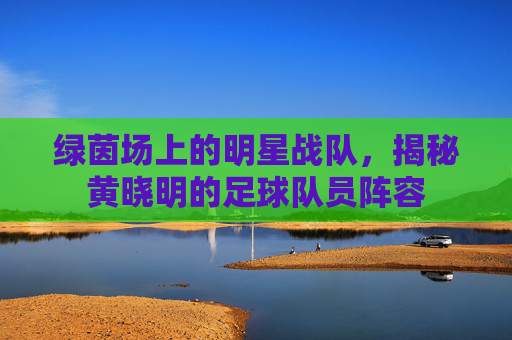 绿茵场上的明星战队,揭秘黄晓明的足球队员阵容