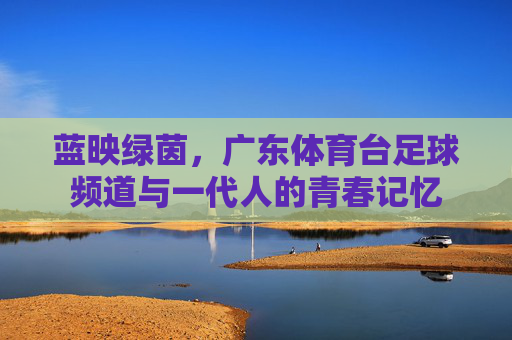 蓝映绿茵,广东体育台足球频道与一代人的青春记忆
