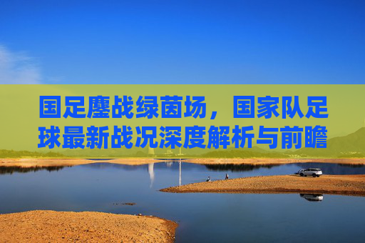 国足鏖战绿茵场,国家队足球最新战况深度解析与前瞻