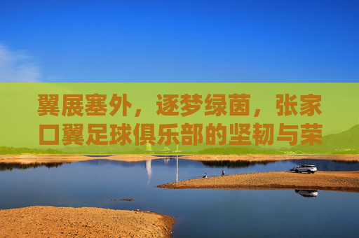 翼展塞外，逐梦绿茵，张家口翼足球俱乐部的坚韧与荣光