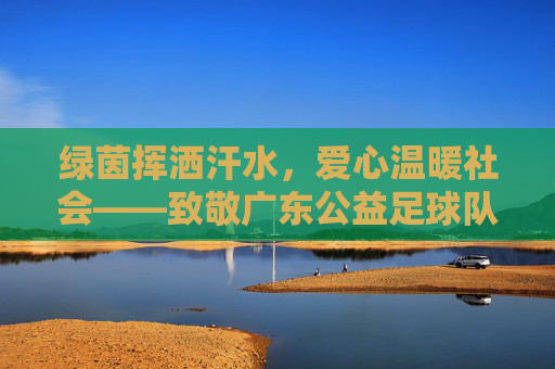 绿茵挥洒汗水，爱心温暖社会——致敬广东公益足球队员