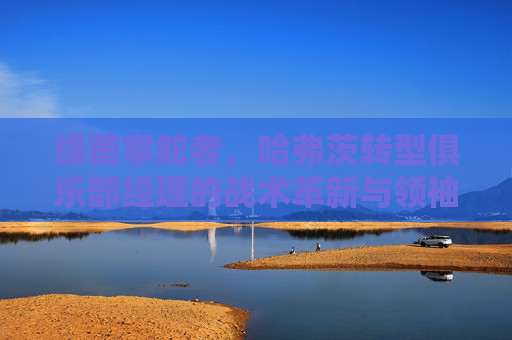 绿茵掌舵者,哈弗茨转型俱乐部经理的战术革新与领袖之路