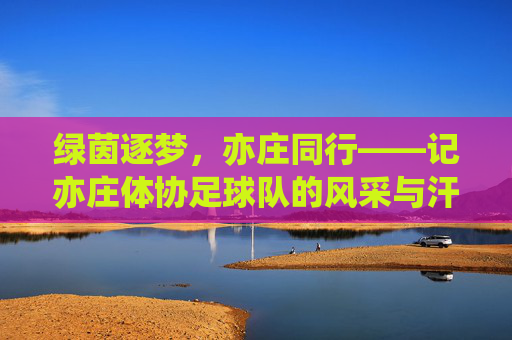 绿茵逐梦,亦庄同行——记亦庄体协足球队的风采与汗水