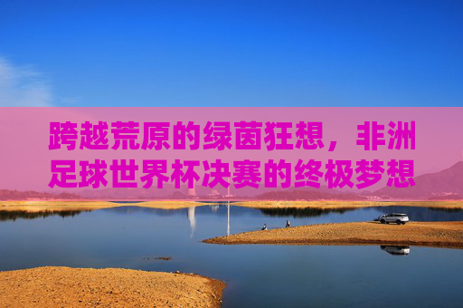 跨越荒原的绿茵狂想，非洲足球世界杯决赛的终极梦想