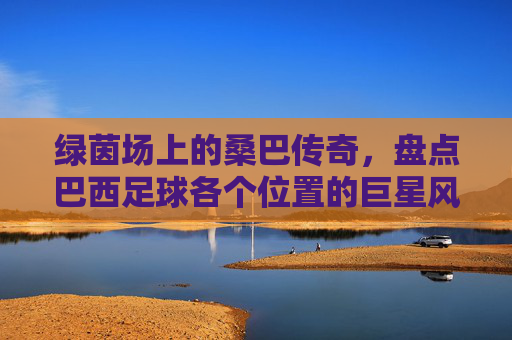 绿茵场上的桑巴传奇，盘点巴西足球各个位置的巨星风采