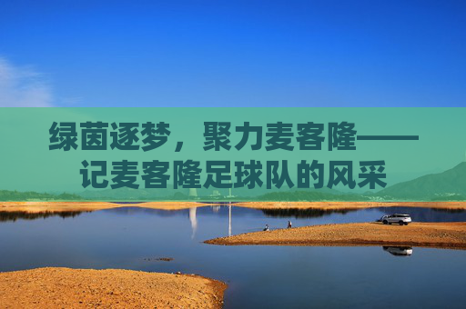 绿茵逐梦，聚力麦客隆——记麦客隆足球队的风采