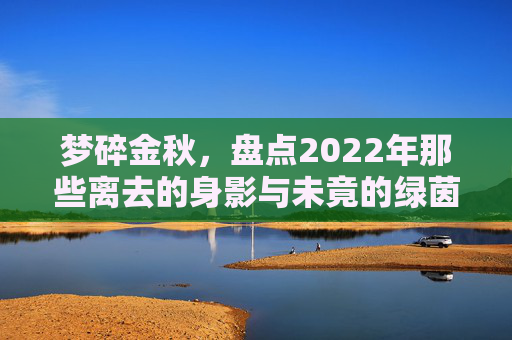 梦碎金秋,盘点2022年那些离去的身影与未竟的绿茵梦