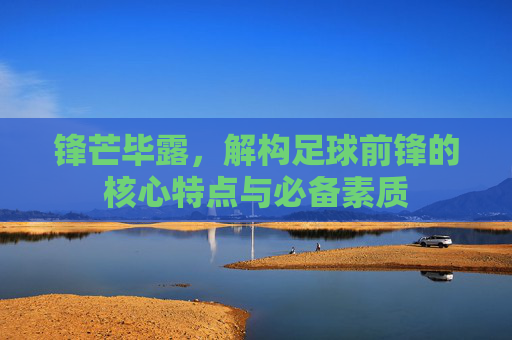 锋芒毕露,解构足球前锋的核心特点与必备素质