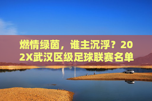 燃情绿茵,谁主沉浮?202X武汉区级足球联赛名单重磅揭晓