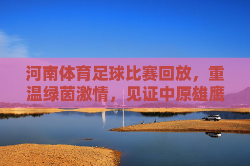 河南体育足球比赛回放,重温绿茵激情,见证中原雄鹰的每一次腾飞