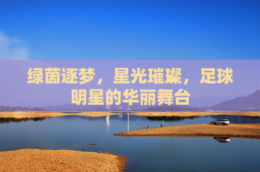 绿茵逐梦,星光璀璨,足球明星的华丽舞台