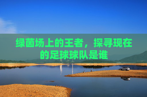 绿茵场上的王者,探寻现在的足球球队是谁