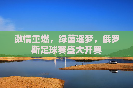 激情重燃,绿茵逐梦,俄罗斯足球赛盛大开赛