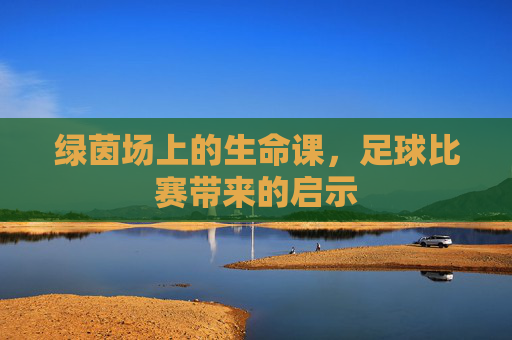 绿茵场上的生命课,足球比赛带来的启示