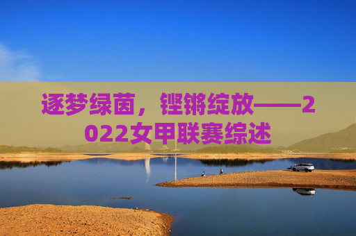 逐梦绿茵,铿锵绽放——2022女甲联赛综述