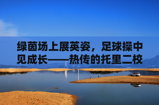 绿茵场上展英姿，足球操中见成长——热传的托里二校足球操视频全解析