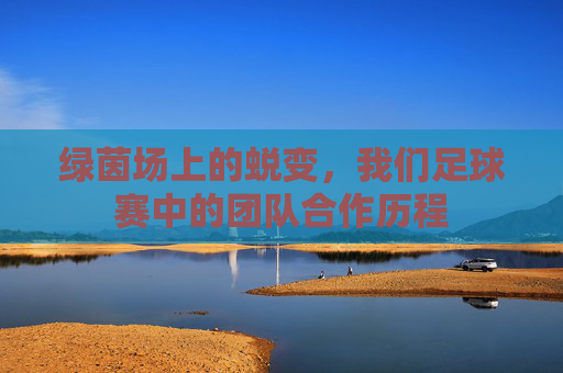 绿茵场上的蜕变,我们足球赛中的团队合作历程