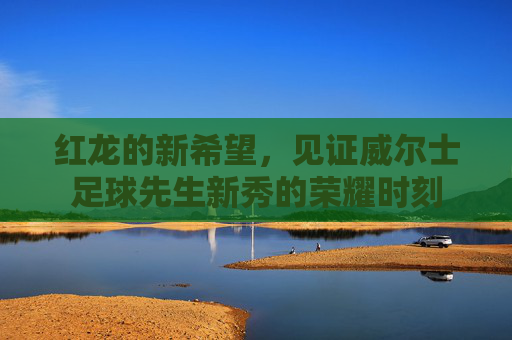 红龙的新希望,见证威尔士足球先生新秀的荣耀时刻