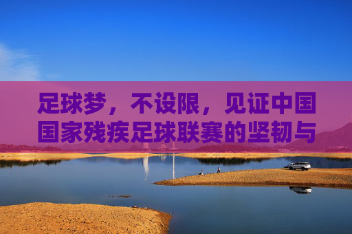 足球梦,不设限,见证中国国家残疾足球联赛的坚韧与荣耀