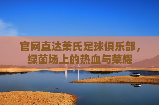 官网直达萧氏足球俱乐部,绿茵场上的热血与荣耀