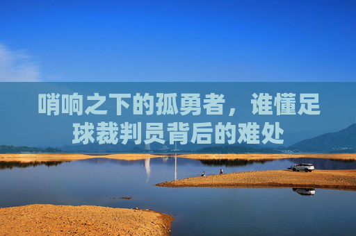 哨响之下的孤勇者,谁懂足球裁判员背后的难处