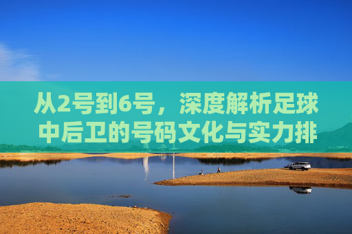 从2号到6号,深度解析足球中后卫的号码文化与实力排名