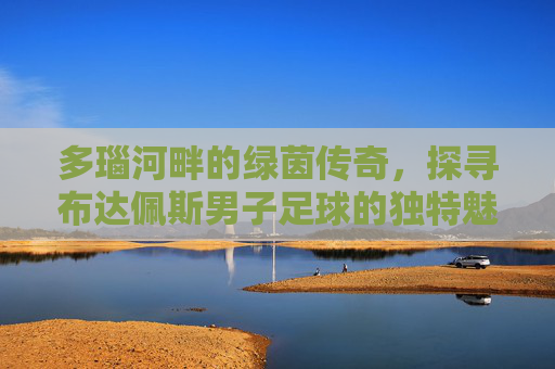 多瑙河畔的绿茵传奇,探寻布达佩斯男子足球的独特魅力