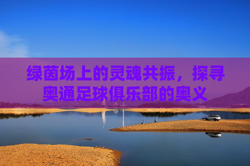 绿茵场上的灵魂共振,探寻奥通足球俱乐部的奥义