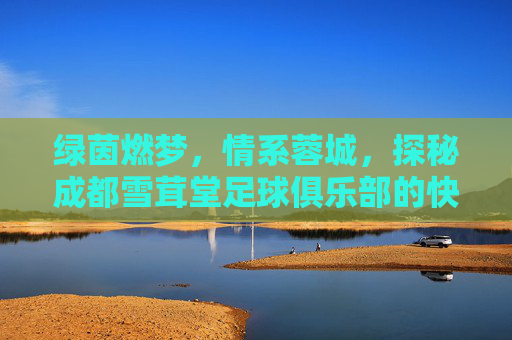 绿茵燃梦,情系蓉城,探秘成都雪茸堂足球俱乐部的快乐江湖