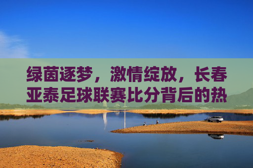 绿茵逐梦,激情绽放,长春亚泰足球联赛比分背后的热血故事