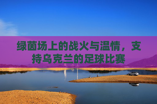 绿茵场上的战火与温情,支持乌克兰的足球比赛