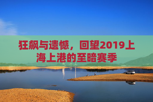 狂飙与遗憾,回望2019上海上港的至暗赛季