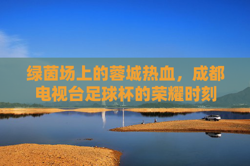 绿茵场上的蓉城热血，成都电视台足球杯的荣耀时刻