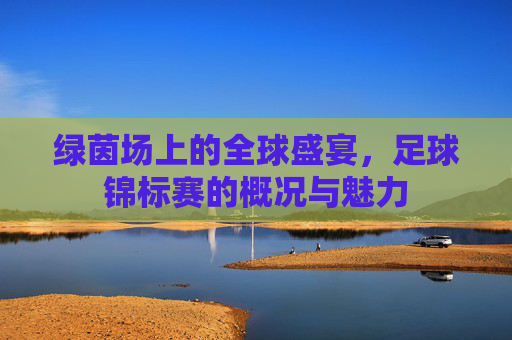 绿茵场上的全球盛宴,足球锦标赛的概况与魅力