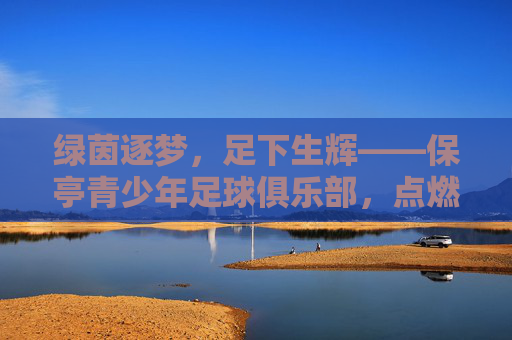 绿茵逐梦,足下生辉——保亭青少年足球俱乐部,点燃海南少年的足球梦想