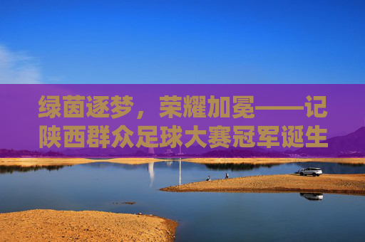 绿茵逐梦,荣耀加冕——记陕西群众足球大赛冠军诞生时刻