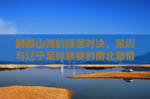 跨越山海的绿茵对决，深圳与辽宁足球联赛的南北激情碰撞