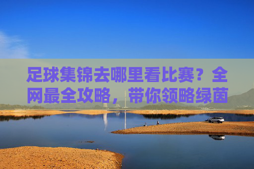 足球集锦去哪里看比赛?全网最全攻略,带你领略绿茵场上的极致魅力