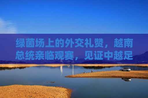 绿茵场上的外交礼赞,越南总统亲临观赛,见证中越足球友谊