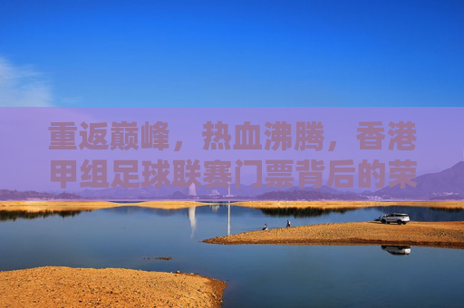 重返巅峰,热血沸腾,香港甲组足球联赛门票背后的荣耀与激情