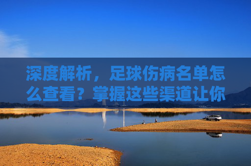 深度解析,足球伤病名单怎么查看?掌握这些渠道让你看球更懂门道