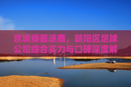 京城绿茵逐鹿,朝阳区足球公司综合实力与口碑深度解析