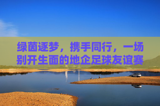 绿茵逐梦,携手同行,一场别开生面的地企足球友谊赛