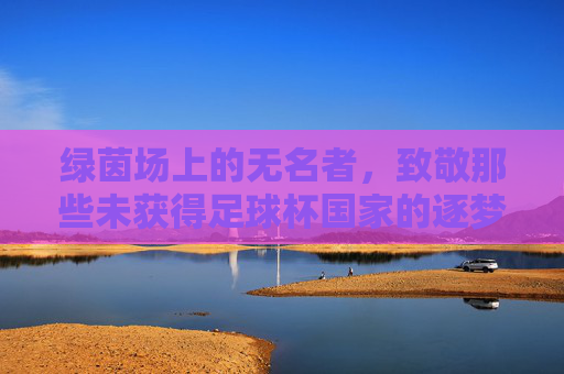 绿茵场上的无名者,致敬那些未获得足球杯国家的逐梦人