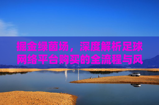 掘金绿茵场,深度解析足球网络平台购买的全流程与风险控制